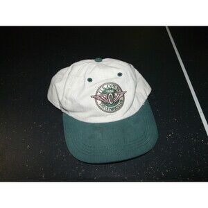 Vintage 90s 1998 US Open The Olympic Club USGA Member USA Made Strapback Hat VTG